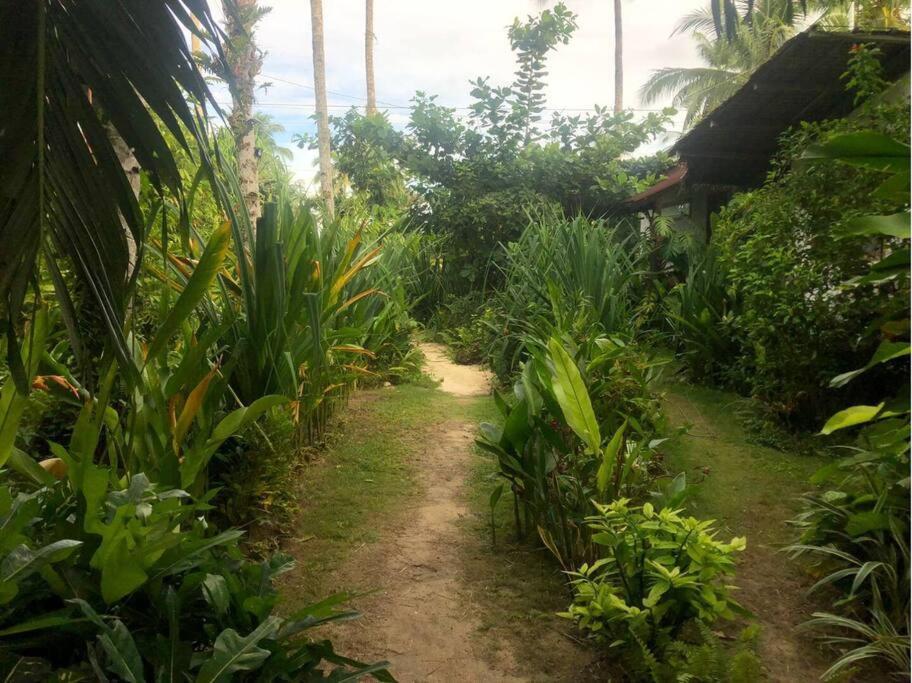 מלון ג'נרל לונה Secret Spot Siargao מראה חיצוני תמונה